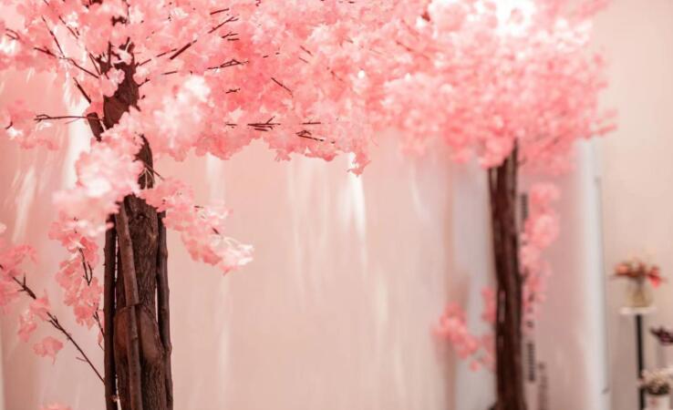 洪山区足疗洗浴会所_精品养生会所