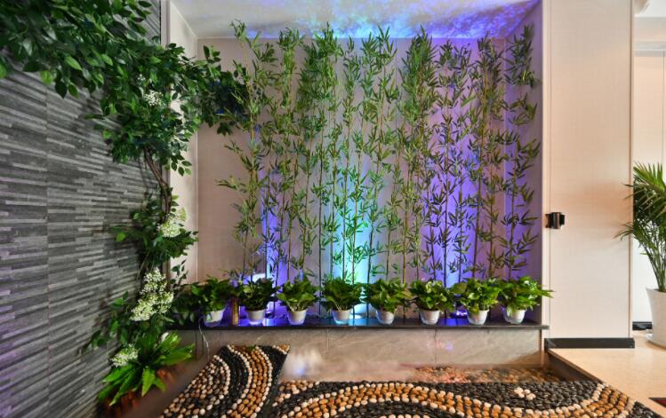 东西湖区高端养生spa足疗